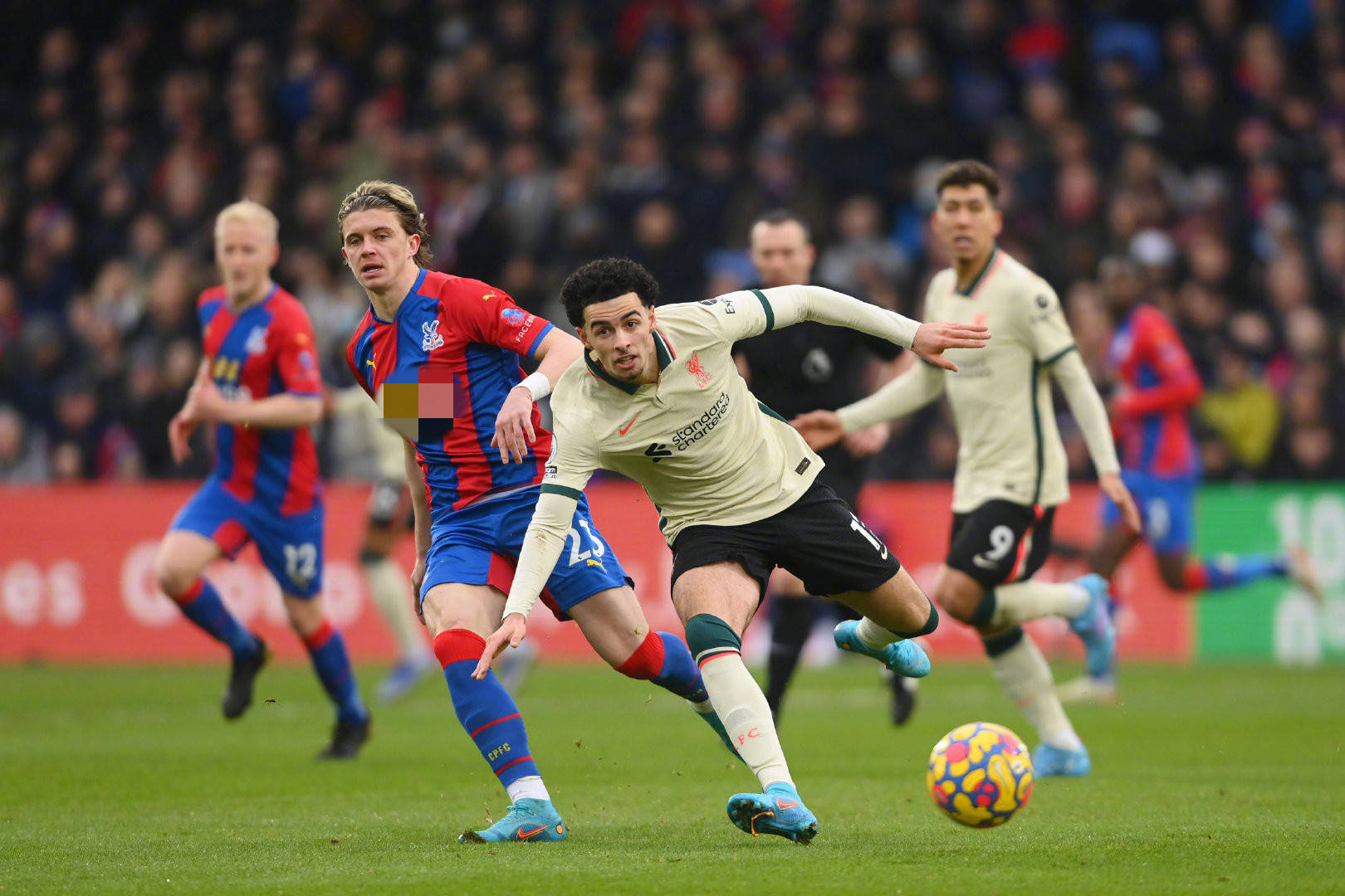 不仅是对一 不仅是对一